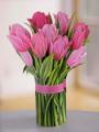 Fresh cut pop up flowers pink tulips